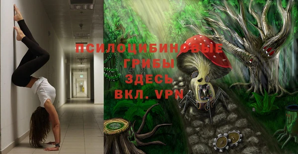 дживик Навашино