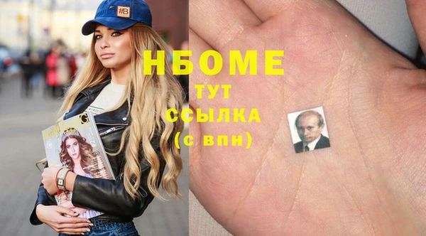 индика Шадринск