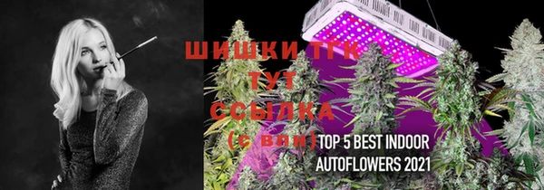 мяу мяу мука Михайловка