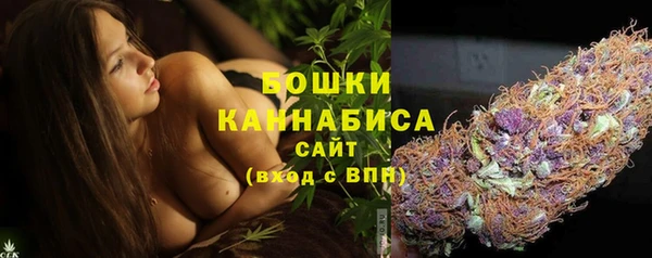 дурь Бронницы