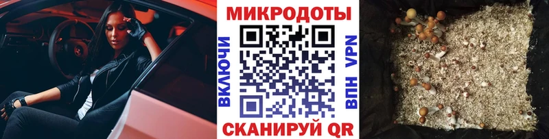 Галлюциногенные грибы GOLDEN TEACHER  нарко площадка формула  Кораблино 